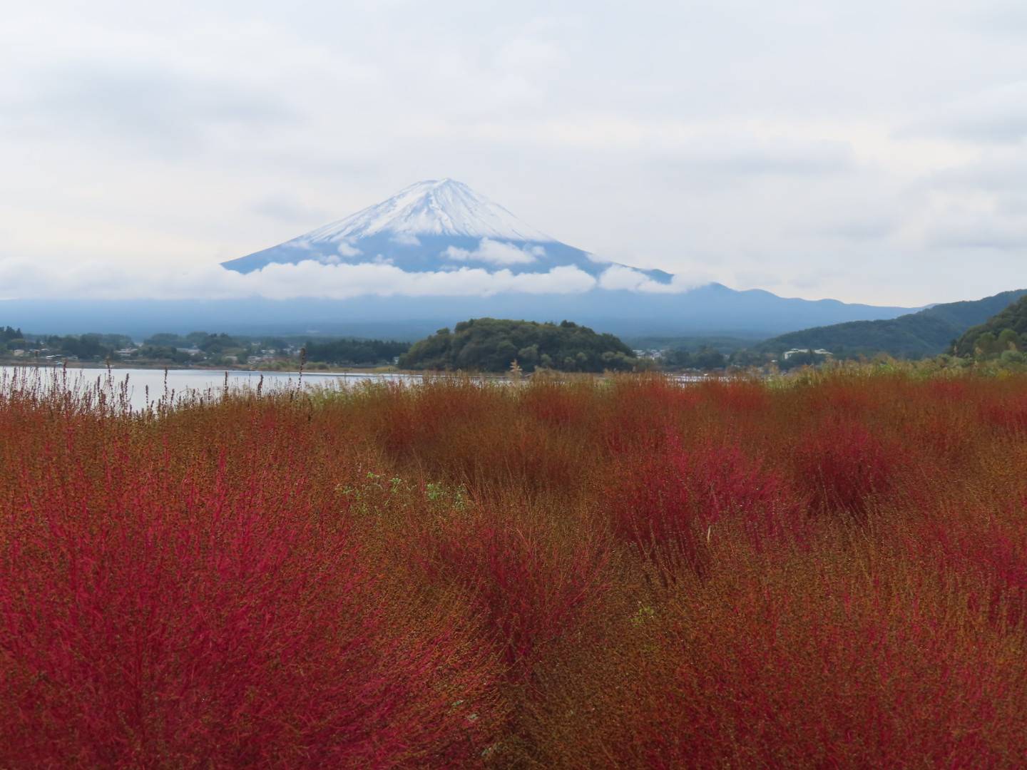 本栖湖リゾート